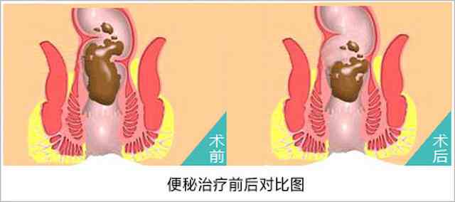 东大1120gc.jpg