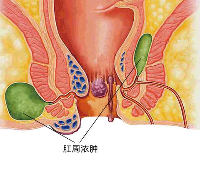 东大1120gc.jpg