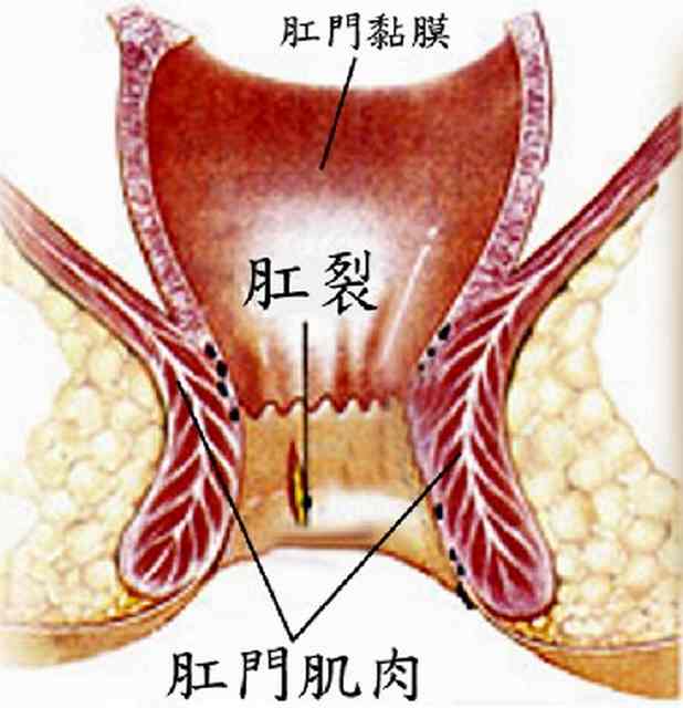 东大1120gc.jpg