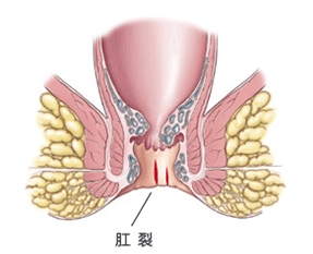 1f569482371f2ad2f603a6c6.jpg
